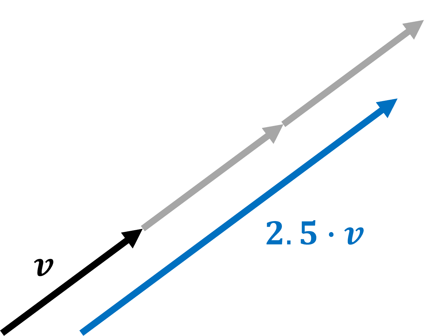 A vector-scalar multiplication